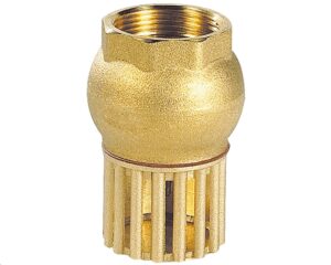CLAPET CRÉPINE VERTICAL FEMELLE BSP